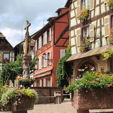 Studio Cosy Avec Balcon Avec Parking Gratuit Proche Centre Sportif Et De La Route Des Vins Alsace Mulhouse Exterior foto
