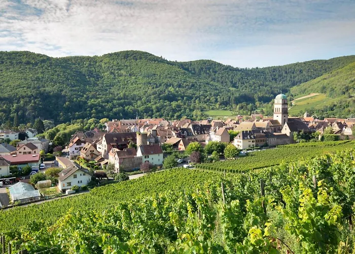 Studio Cosy Avec Balcon Avec Parking Gratuit Proche Centre Sportif Et De La Route Des Vins Alsace