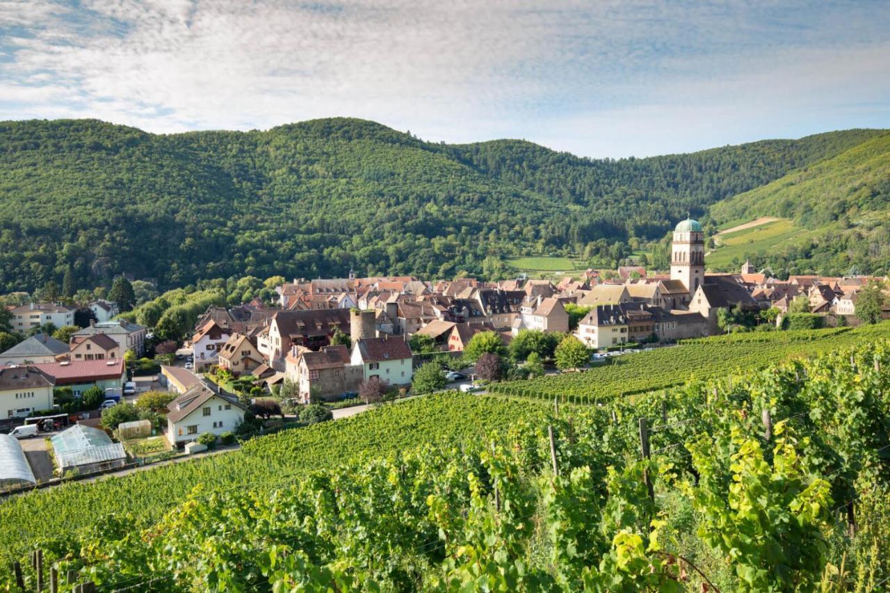 Apartamento Cosy Avec Balcon Avec Parking Gratuit Proche Centre Sportif Et De La Route Des Vins Alsace Mulhouse